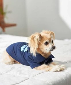 Frisco Dog & Cat Polo Shirt with Accent Pocket 17 Frisco Dog & Cat Polo Shirt with Accent Pocket -PetNest Shop 248880 PT7. SY630 V1644960683