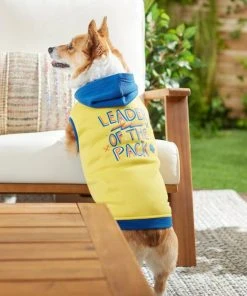 Frisco Leader of the Pack Dog & Cat Hoodie 15 Frisco Leader of the Pack Dog & Cat Hoodie -PetNest Shop 248905 PT7. SY630 V1613752118