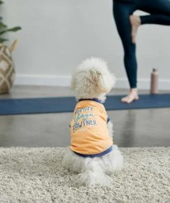 Frisco Mama's Yoga Pawtner Dog & Cat T-Shirt -PetNest Shop 248966 PT4. SY630 V1624592860
