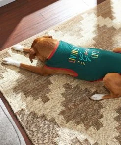 Frisco Living the Good Life Dog & Cat T-Shirt -PetNest Shop 248973 PT7. SY630 V1644476808