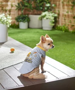 Frisco Give Me My Space Dog & Cat T-Shirt 12 Frisco Give Me My Space Dog & Cat T-Shirt -PetNest Shop 249011 PT4. SY630 V1624601572