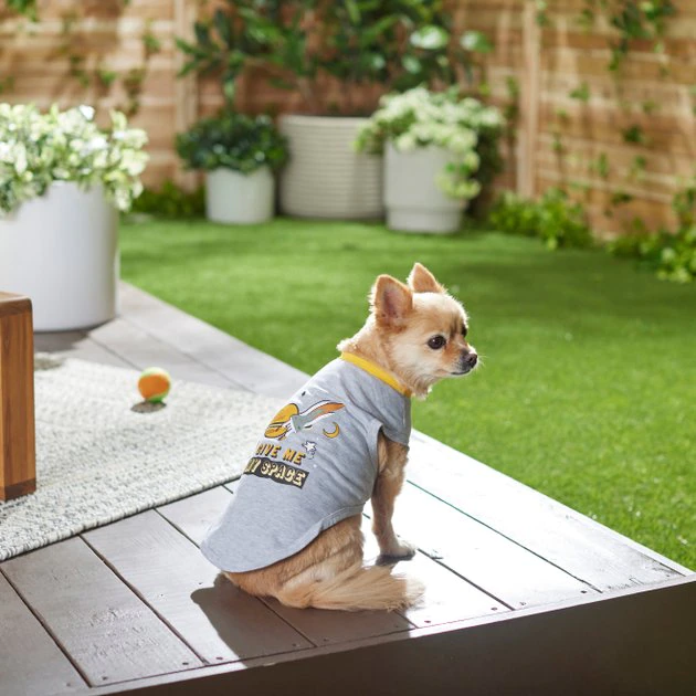 Frisco Give Me My Space Dog & Cat T-Shirt 8 Frisco Give Me My Space Dog & Cat T-Shirt - Image 6