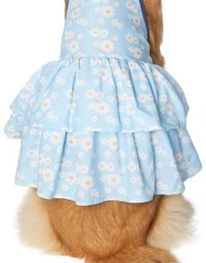 Frisco Blue Daisies Dog & Cat Dress -PetNest Shop 249044 PT2. SY630 V1637691458