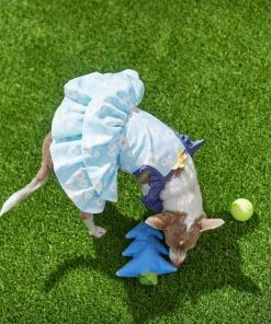 Frisco Blue Daisies Dog & Cat Dress -PetNest Shop 249044 PT7. SY630 V1644464818