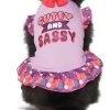 Frisco Cute & Sassy Dog & Cat Dress