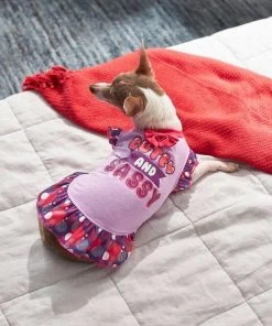 Frisco Cute & Sassy Dog & Cat Dress -PetNest Shop 249072 PT5. SY630 V1644960401