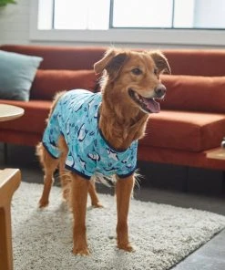 Frisco Happy Shark Dog & Cat Jersey PJs -PetNest Shop 249122 PT7. SY630 V1614276183