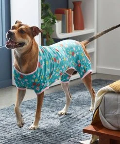 Frisco Teal Floral Dog & Cat Jersey PJs -PetNest Shop 249132 PT7. SY630 V1614376401