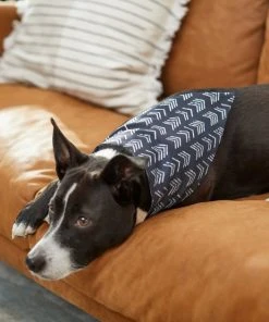 Frisco Boho Reversible Dog & Cat Bandana -PetNest Shop 249137 PT5. SY630 V1637659054