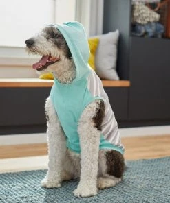 Frisco Striped Colorblock Dog & Cat Hoodie, Teal 15 Frisco Striped Colorblock Dog & Cat Hoodie, Teal -PetNest Shop 249146 PT7. SY630 V1614105034
