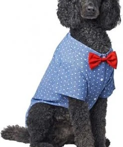 Frisco Polka Dot Chambray Dog & Cat Button Up Shirt -PetNest Shop 249161 PT2. SY630 V1624607862