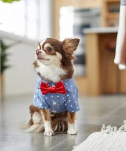 Frisco Polka Dot Chambray Dog & Cat Button Up Shirt -PetNest Shop 249161 PT7. SY630 V1614104808