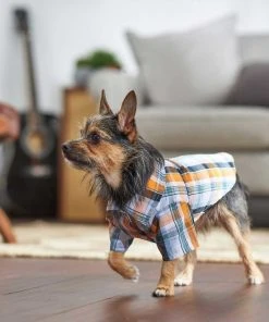 Frisco Plaid Dog & Cat Button Up Shirt -PetNest Shop 249173 PT6. SY630 V1624601549