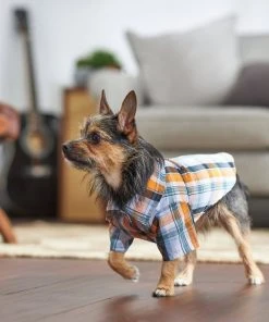 Frisco Plaid Dog & Cat Button Up Shirt -PetNest Shop 249173 PT7. SY630 V1614103793
