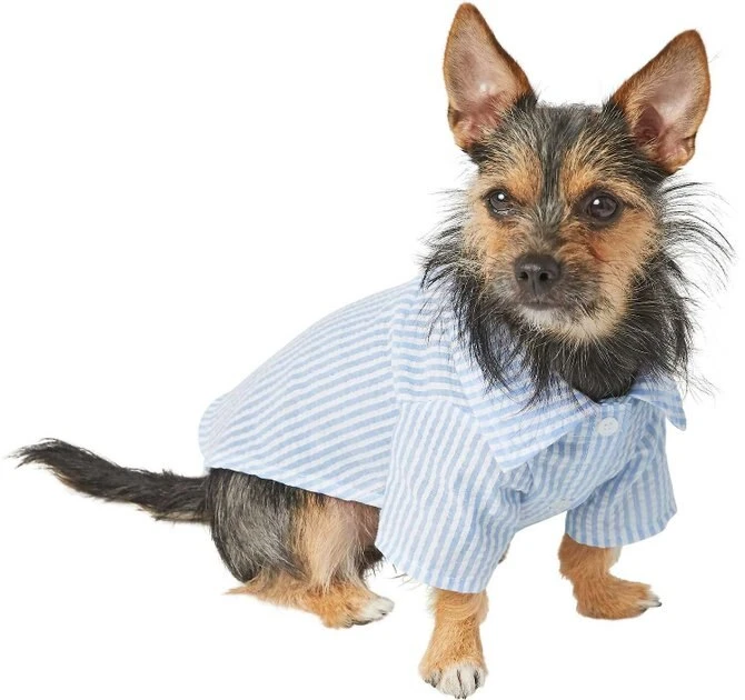 Frisco Striped Lightweight Dog & Cat Button Up Shirt 5 Frisco Striped Lightweight Dog & Cat Button Up Shirt - Image 3