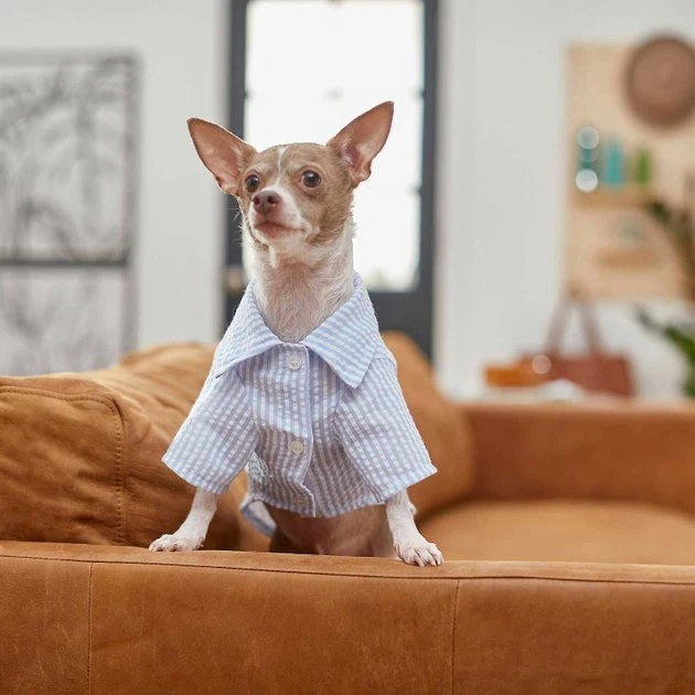 Frisco Striped Lightweight Dog & Cat Button Up Shirt 9 Frisco Striped Lightweight Dog & Cat Button Up Shirt - Image 7