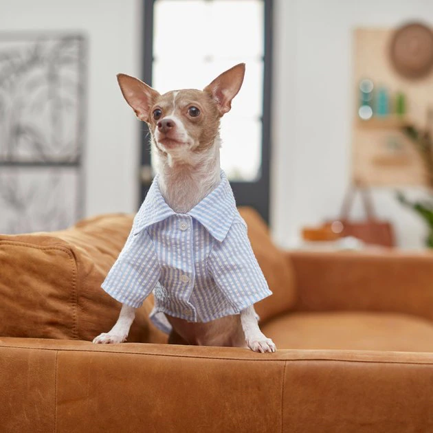 Frisco Striped Lightweight Dog & Cat Button Up Shirt 10 Frisco Striped Lightweight Dog & Cat Button Up Shirt - Image 8