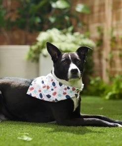 Frisco Colorful Terrazzo Dog & Cat Bandana -PetNest Shop 249200 PT4. SY630 V1637644381