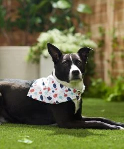 Frisco Colorful Terrazzo Dog & Cat Bandana -PetNest Shop 249200 PT5. SY630 V1614612884
