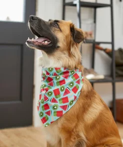 Frisco Fruity Summer Dog & Cat Bandana -PetNest Shop 249204 PT4. SY630 V1637668676