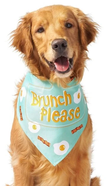 Frisco Brunch Please Dog & Cat Bandana 5 Frisco Brunch Please Dog & Cat Bandana - Image 3