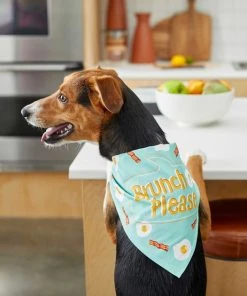 Frisco Brunch Please Dog & Cat Bandana 12 Frisco Brunch Please Dog & Cat Bandana -PetNest Shop 249207 PT4. SY630 V1637671044