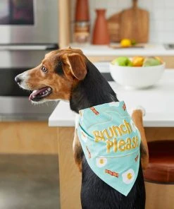 Frisco Brunch Please Dog & Cat Bandana 13 Frisco Brunch Please Dog & Cat Bandana -PetNest Shop 249207 PT5. SY630 V1614612830