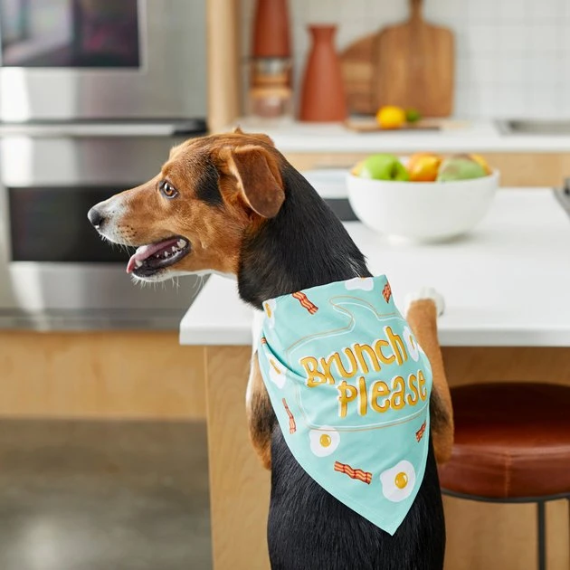 Frisco Brunch Please Dog & Cat Bandana 8 Frisco Brunch Please Dog & Cat Bandana - Image 6