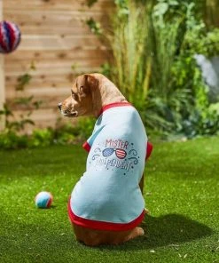 Frisco Mister Independent Dog & Cat T-Shirt -PetNest Shop 249237 PT4. SY630 V1624612960