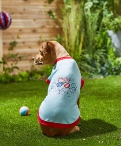 Frisco Mister Independent Dog & Cat T-Shirt -PetNest Shop 249237 PT7. SY630 V1614362555