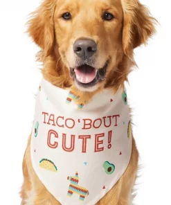 Frisco Taco 'Bout Cute Dog & Cat Bandana -PetNest Shop 249287 PT2. SY630 V1637727457