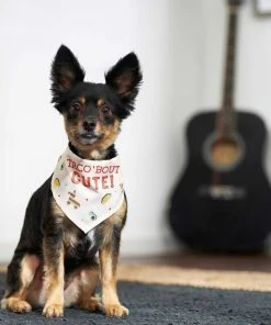 Frisco Taco 'Bout Cute Dog & Cat Bandana -PetNest Shop 249287 PT4. SY630 V1637677700