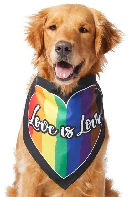 Frisco Love is Love Heart Dog & Cat Bandana 5 Frisco Love is Love Heart Dog & Cat Bandana - Image 3