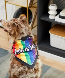 Frisco Love is Love Heart Dog & Cat Bandana 13 Frisco Love is Love Heart Dog & Cat Bandana -PetNest Shop 249289 PT5. SY630 V1614656856