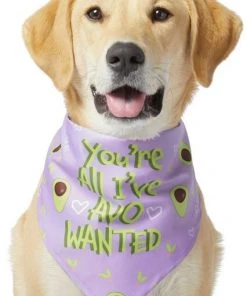 Frisco You're All I've Avo Wanted Dog & Cat Bandana -PetNest Shop 249292 PT2. SY630 V1637723806