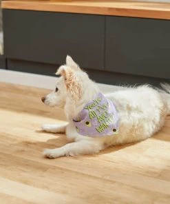 Frisco You're All I've Avo Wanted Dog & Cat Bandana -PetNest Shop 249292 PT4. SY630 V1637644623