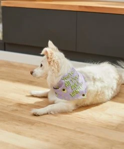 Frisco You're All I've Avo Wanted Dog & Cat Bandana -PetNest Shop 249292 PT5. SY630 V1614657706