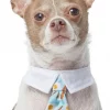 Frisco Brunch Dog & Cat Neck Tie -PetNest Shop 249305 MAIN. SY630 V1614274894