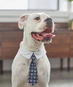 Frisco Boho Dog & Cat Neck Tie -PetNest Shop 249307 PT7. SY630 V1614274626