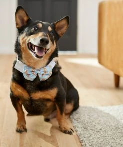 Frisco Nautical Anchor Dog & Cat Bow Tie 9 Frisco Nautical Anchor Dog & Cat Bow Tie -PetNest Shop 249322 PT7. SY630 V1614274594