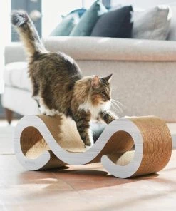 Frisco Cat Scratcher & Lounge Curl with Catnip 7 Frisco Cat Scratcher & Lounge Curl with Catnip -PetNest Shop 249601 PT5. SY630 V1611325596