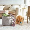 Frisco Round Collapsible Pet Toy Storage Bin, Gray Basket Weave -PetNest Shop 250585 MAIN. SY630 V1615242785