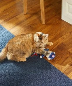 Frisco Baseball Bear Kicker Cat Toy -PetNest Shop 252730 PT5. SY630 V1615814492