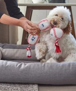 Frisco Baseball Plush with Rope Dog Toy 7 Frisco Baseball Plush with Rope Dog Toy -PetNest Shop 252752 PT5. SY630 V1615814573