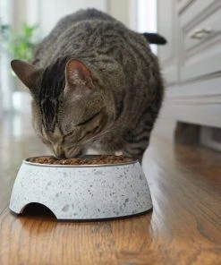 Frisco Quartz Design Stainless Steel Dog & Cat Bowl -PetNest Shop 253042 PT2. SY630 V1616594192