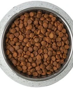 Frisco Quartz Design Stainless Steel Dog & Cat Bowl -PetNest Shop 253042 PT5. SY630 V1616526809