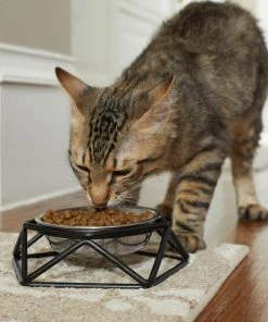 Frisco Elevated Stainless Steel Dog & Cat Bowl with Metal Stand -PetNest Shop 253054 PT2. SY630 V1616594197