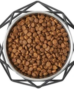 Frisco Elevated Stainless Steel Dog & Cat Bowl with Metal Stand -PetNest Shop 253054 PT5. SY630 V1616595535