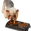 Frisco Copper Stainless Steel Double Dog & Cat Bowls with Black Marble Stand, 0.75 Cups -PetNest Shop 253058 MAIN. SY630 V1616075012