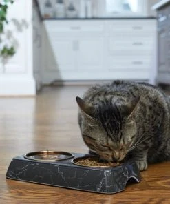 Frisco Copper Stainless Steel Double Dog & Cat Bowls with Black Marble Stand, 0.75 Cups -PetNest Shop 253058 PT2. SY630 V1616594213